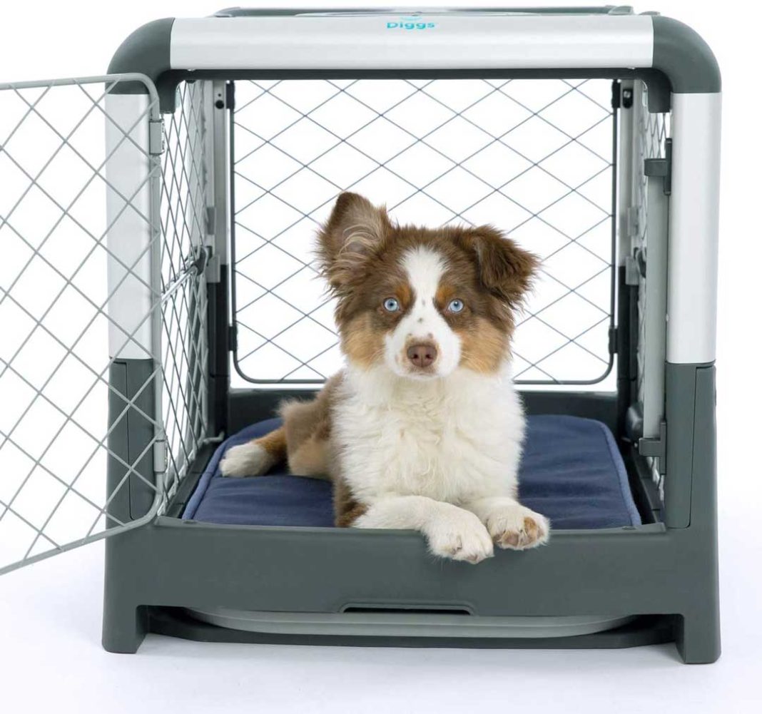 Dog Crate Review: Diggs Revol Dog Crate - Collapsible Dog Crate