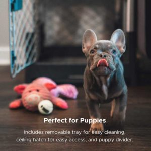 Dog Crate Review: Diggs Revol Puppy Crate - Collapsible Dog Crate
