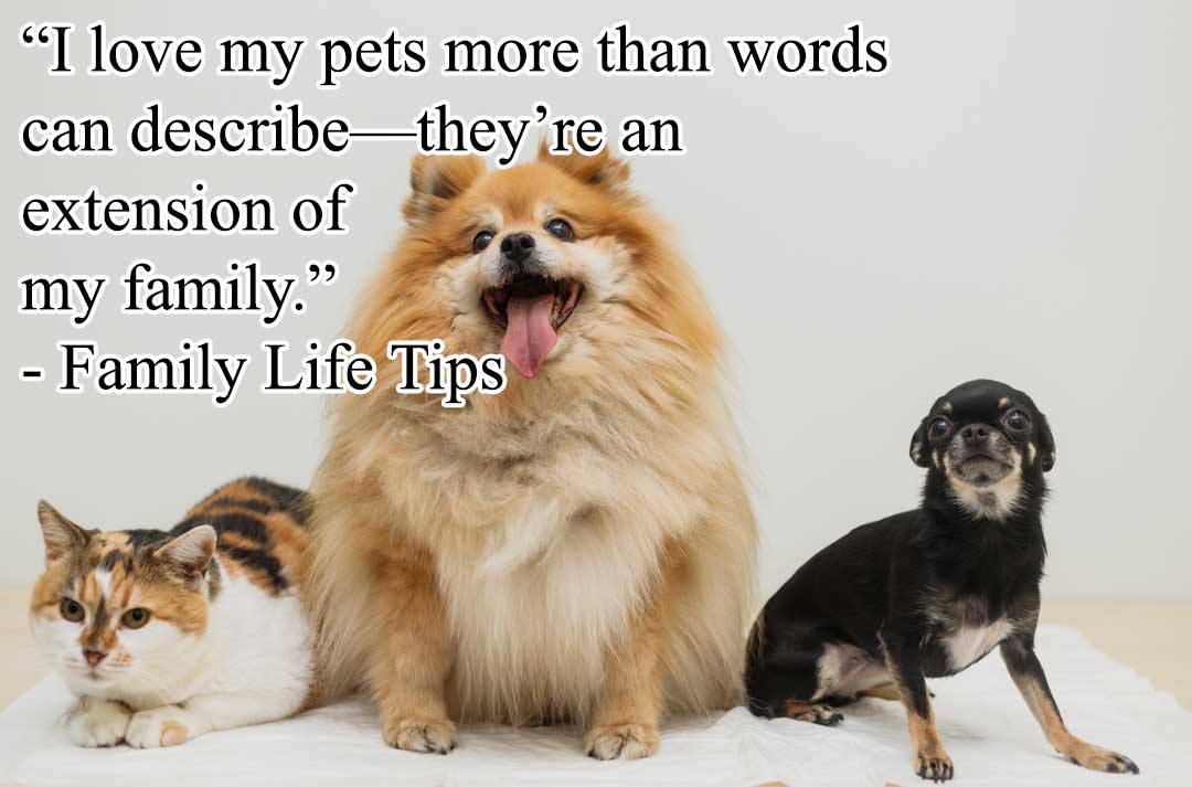 Pets are Family Quotes - “I love my pets more than words can describe—they’re an extension of my family.”